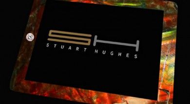 Stuart Hughes iPad2 Gold History Edition 1 Stuart Hughes iPad 2 Gold History Edition www.upscaleswagger