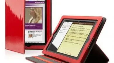 Cygnett Glam iPad