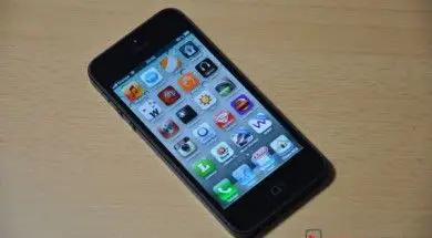 iPhone 5