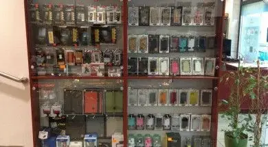 1375760_10152005389273828_212138637_n