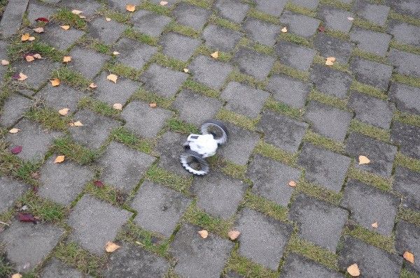 Recenzja Parrot Jumping Sumo w AppleMobile.pl 30