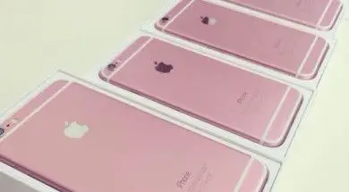 big_488b377e-69e6-48c1-a9da-28042e92938d