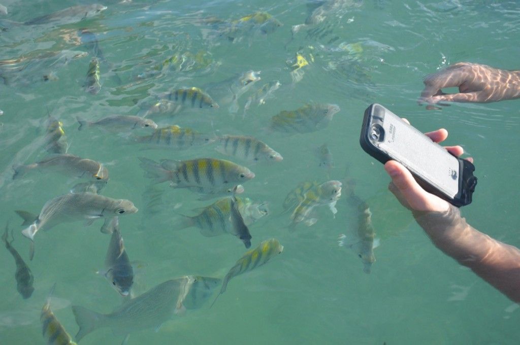 Recenzja Lifeproof Fre Power w AppleMobile.pl z zewnatrz 12