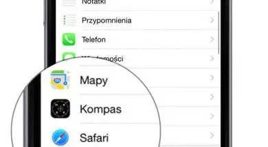 Safari