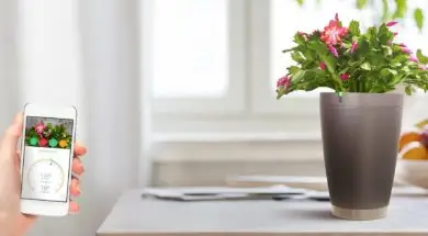 recenzja-parrot-pot-w-applemobile-pl-123-9