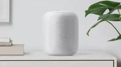 Ikona