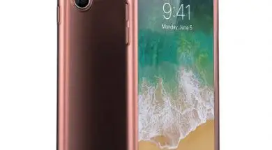 Ikona