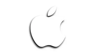 big_55735115-ffe0-4915-809c-acdff3827b84