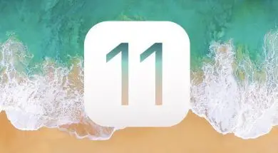Ikona