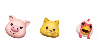 Zrzut ekranu 2017-11-09 o 13.06.55