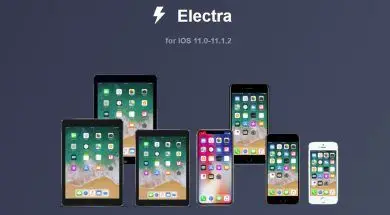 electra
