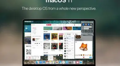 screen-shot-2018-03-01-at-1-51-09-pm2
