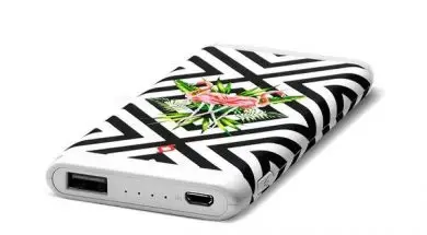 artpower-ttec-flamingo-2