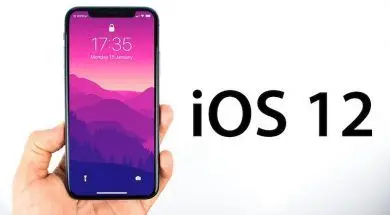 Ikona