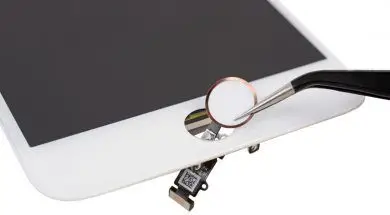 The iPhone 7 Plus’ home button, a touch sensor, is shown during a iFixit’s teardown of the phone in Japan