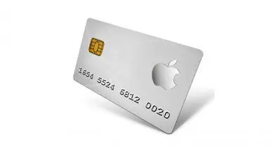 Apple i Goldman Sachs wprowadzą w tym roku kartę kredytową