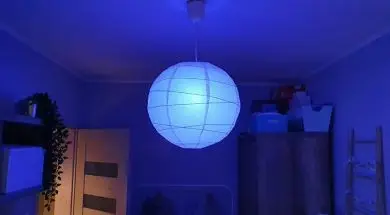 60897327_612327432577666_5788619856257482752_n