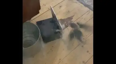 Palący się 15 calowy MacBook Pro z 2015 roku na filmie