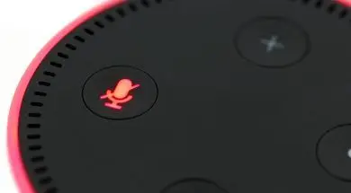 echo-dot-2937627_1920