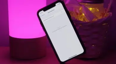 64978359_446405582823029_8140476847273017344_n