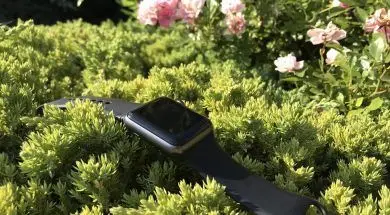 65281881_460667944764179_5190707919858958336_n