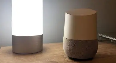 65573648_374857279680084_173492236099518464_n