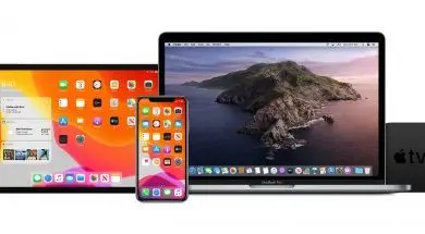 Dostępne publiczne bety iOS 13, iPadOS 13, macOS Catalina i tvOS 13