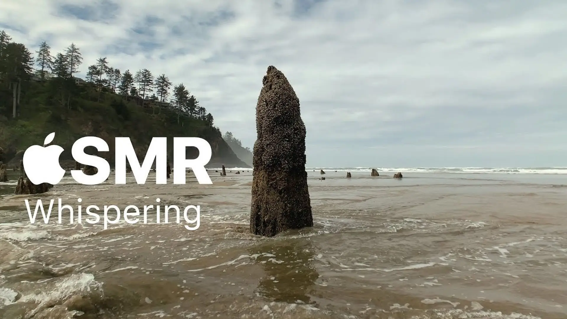 Apple opublikowała nowe filmy ASMR z serii Shot on iPhone