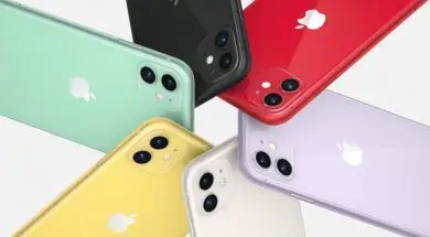 iPhone-11-fot.-Apple