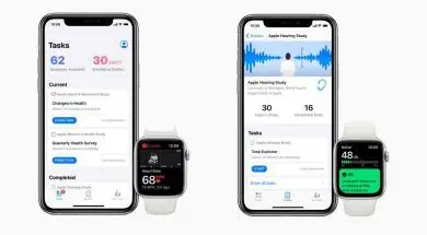 uploadscardimage1079963ac1c7183-ce3a-45ed-981a-702339cc4e39.jpg950x534__filtersquality80