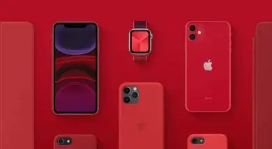 big_79ad115b-38dc-4f33-aef3-05083ba85d15