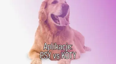 psykoty