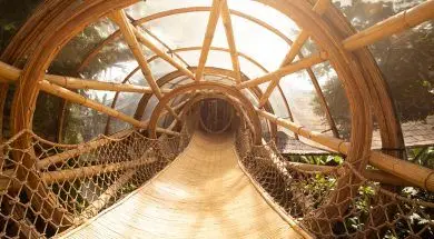 Serial dokumentalny „Home” w Apple TV+ 17 kwietnia