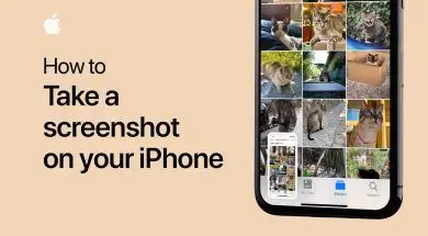 Poradnik Apple Jak zrobić zrzut ekranu na iPhonie lub iPadzie