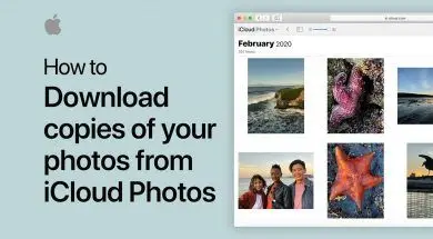 Poradnik Apple Jak pobrać zdjęcia na Maca lub PC z iCloud