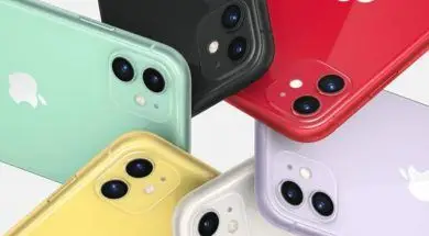 big_64d212ea-29cf-4e61-98af-85fceb5556d3