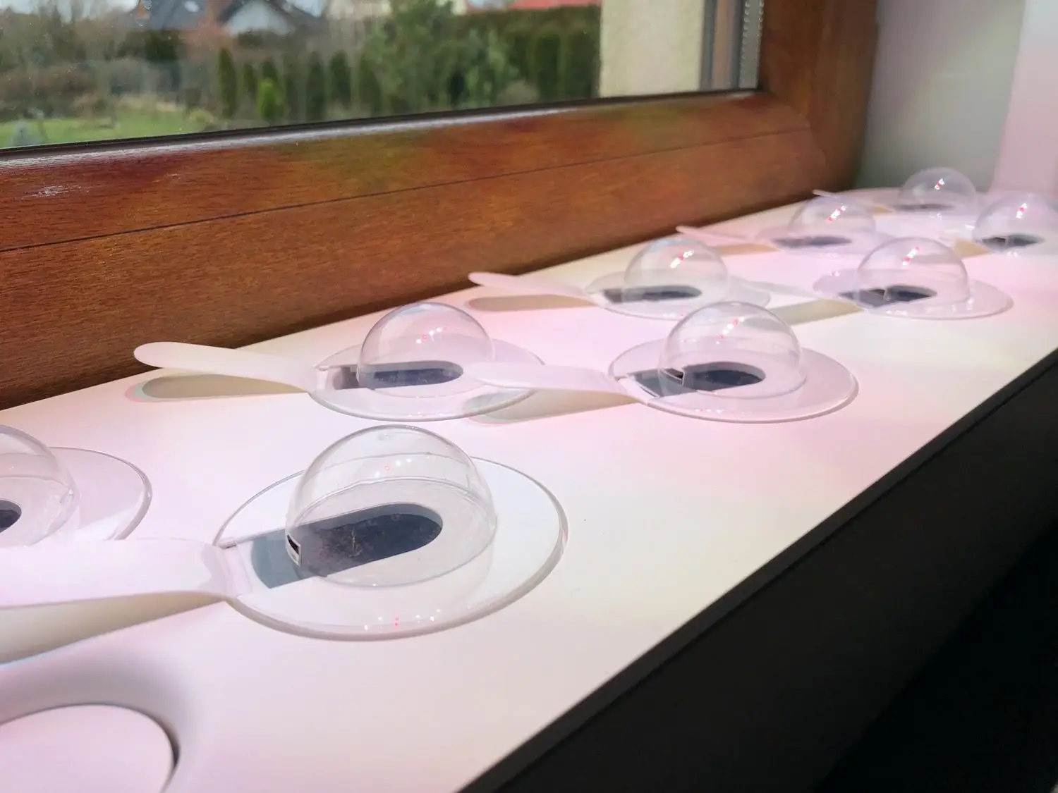 Recenzja Click and Grow Smart Garden