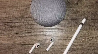 52608623_319201805248337_3850261537449050112_n