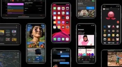 big_41f1d2aa-7d6c-48e7-b7a4-91eb88b9a38c