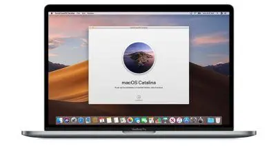 screen-shot-2019-06-24-at-11-06-58-am