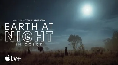 Nagranie z kulis powstawania serialu Ziemia w nocnych barwach