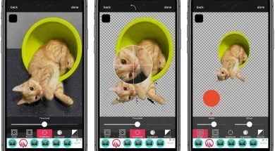 164121977_2513586942271189_7247426669076451203_n