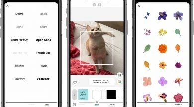 186564196_954708545300165_4496277314852935271_n