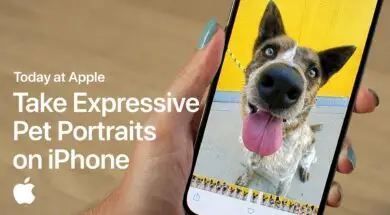 Poradnik Apple Jak fotografować zwierzęta przy pomocy iPhone’a