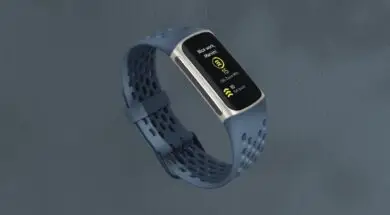 fit1