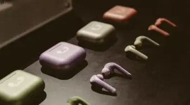 245513184_6267048576701411_996907169277124882_n — kopia — kopia