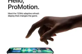 clipimage-21-1280×961