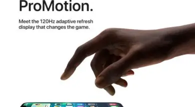 clipimage-21-1280×961