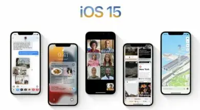 Zrzut-ekranu-2021-06-7-o-21.21.26 (1)