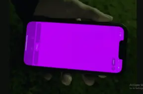 Capture-8